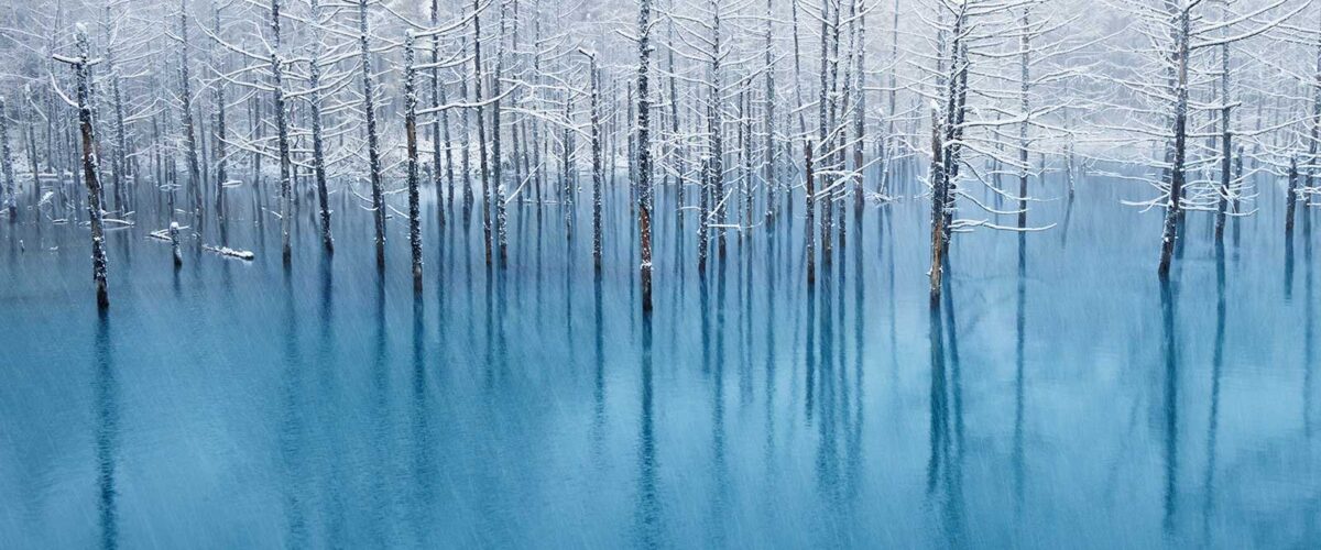blue pond with snow covered trees