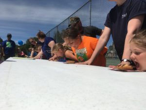 children eating pies without using their hands