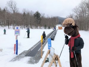 skiiers enjoying a day at the mountain