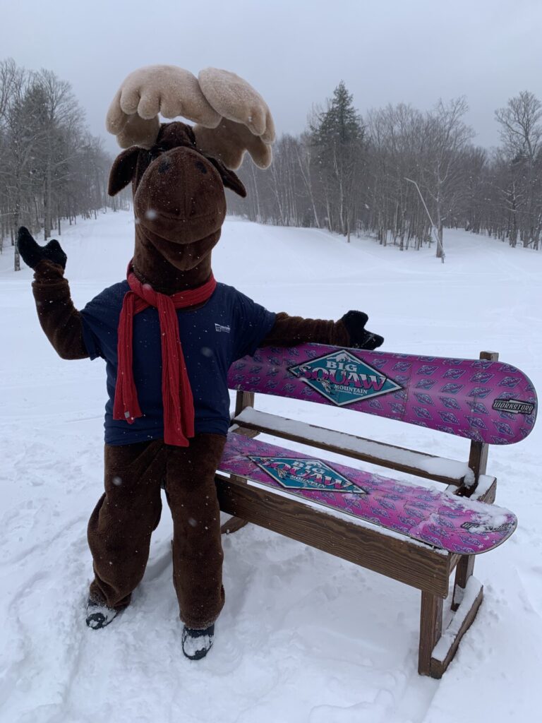 Monty Moose on Bench at Big Moose Mountain